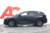 Lexus NX 450h+ AWD Executive - Uusi auto heti toimitukseen Thumbnail 2