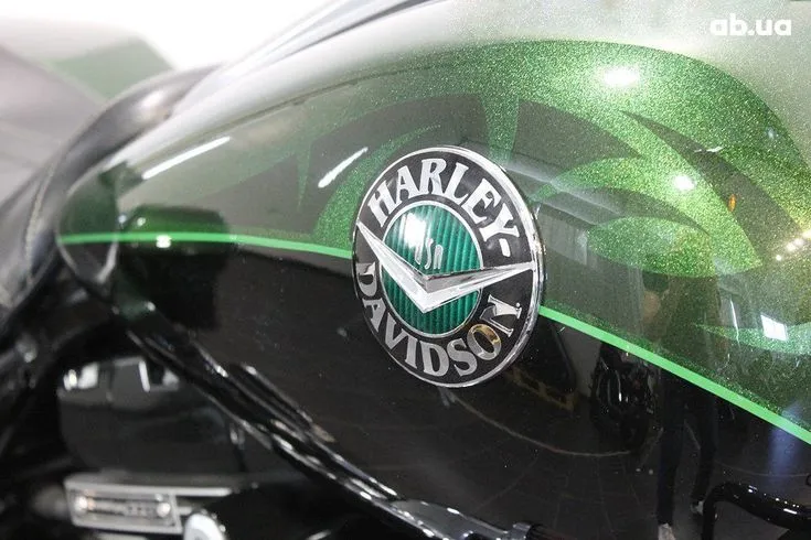 Harley-Davidson FLHRSE  Image 3